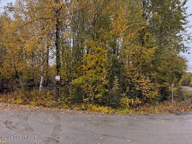14713 N  Sundew Cir, Willow, AK 99688