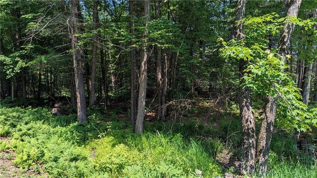 Lot 1 165th Ave, Bloomer, WI 54724