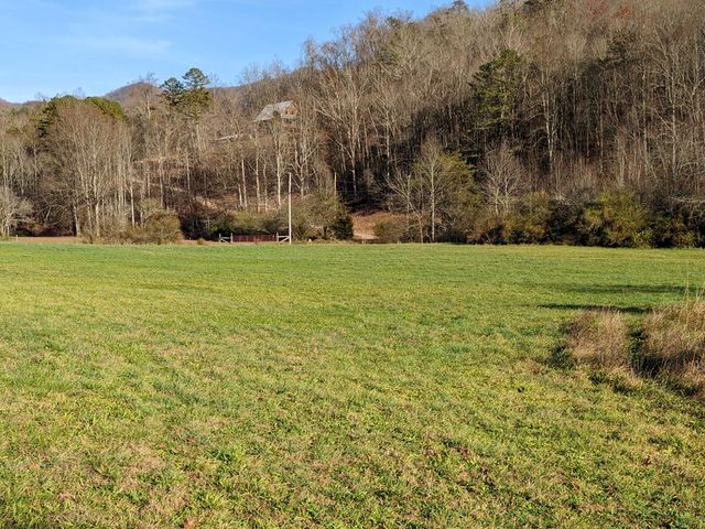 Tract 1A Thumping Creek Rd, Hayesville, NC 28904