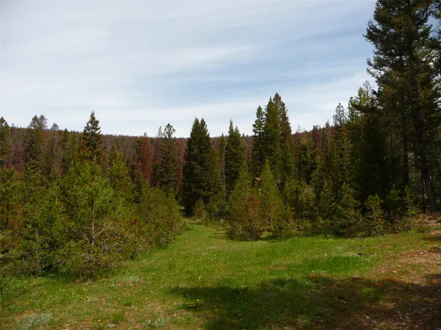 263 Wild Hill Ln, Lincoln, MT 59639