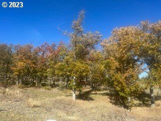 Whitney Dr, Goldendale, WA 98620