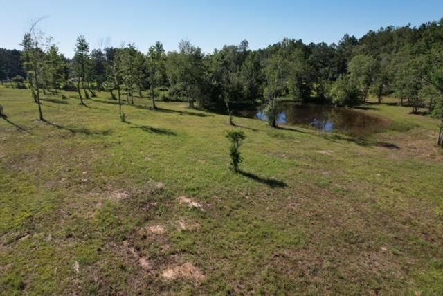 60 Lees Ln, Poplarville, MS 39470