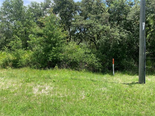 8098 TREIMAN BOULEVARD LOT 60, Webster, FL 33597
