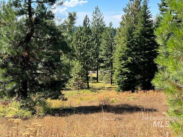 Lot 6 Whitefield Ln, McCall, ID 83638
