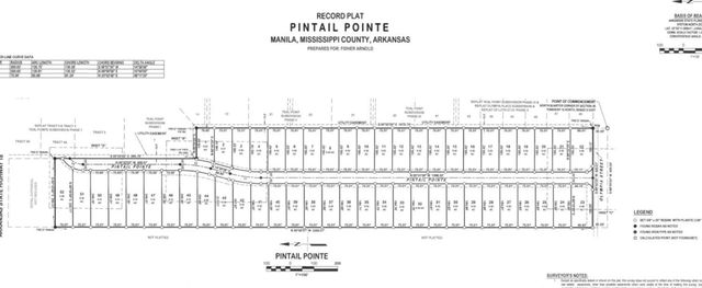 Lot 6 Pintail Point, Manila, AR 72442