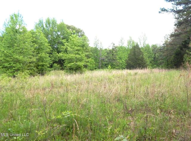 1015 Saulsbury Rd, Falkner, MS 38629