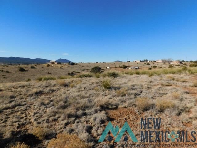 Summit Rd, Silver city, NM 88061