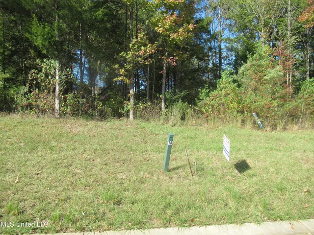 Brents Xing #18, Clinton, MS 39056