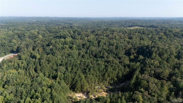 Magnolia Cir, Centreville, AL 35042