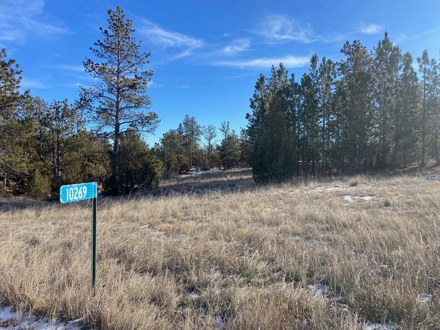10269 Timber Trl, Edgemont, SD 57735