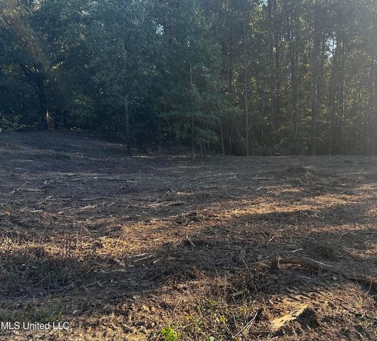 Lot 6 Summer Cir  W, Lake Cormorant, MS 38641