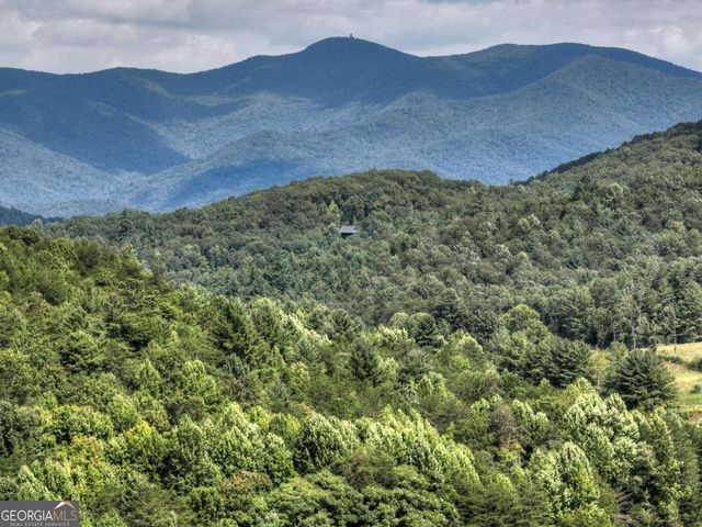 2-3 Spiva Cove Mountain Trl #13, Blairsville, GA 30512