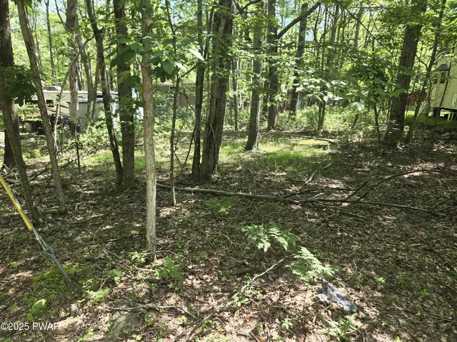 Mohican Rd, Shohola, PA 18458