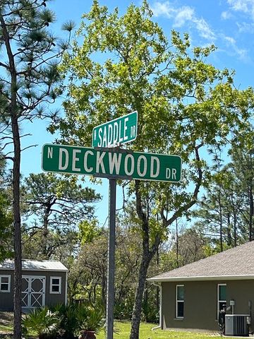4438 N  Deckwood Dr, Beverly Hills, FL 34465