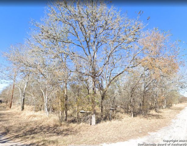 LOTS 25 & 26 CR 369 LOT 25 &, George West, TX 78022