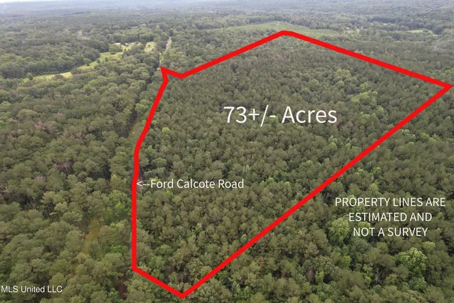 Ford Calcote Rd, Monticello, MS 39654