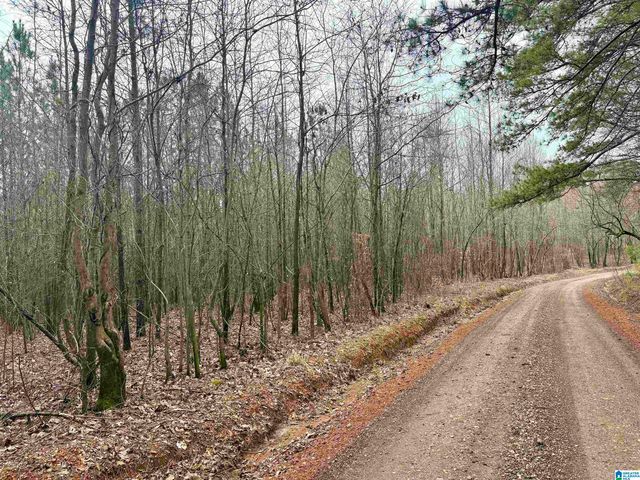 County Road 670 #1, Ranburne, AL 36273