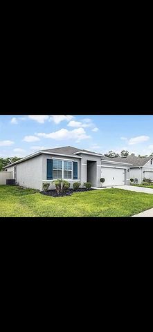 1351 Fox Squirrel Dr, Davenport, FL 33897