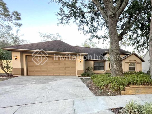 16103 Dowling Ct, Tampa, FL 33647