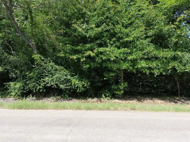Pecan Rd, Keithville, LA 71047
