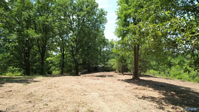 Lindsey Rd, Cullman, AL 35055