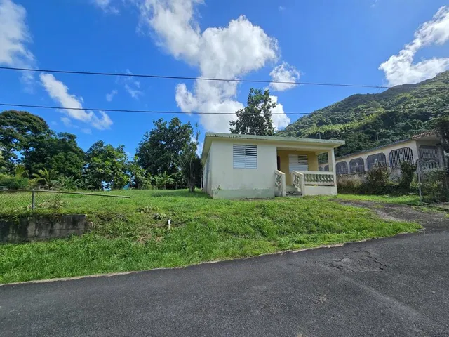 252 CALLE FELICITA PINTO MORALES COMUNIDAD PLAYITA, Yabucoa, PR 00767