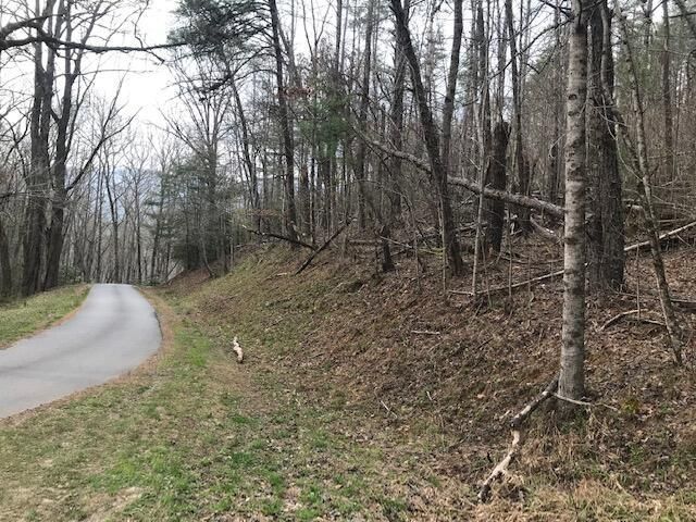 Sweetwater Bend Rd, Hayesville, NC 28904