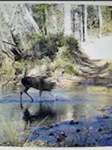 Buck Creek Rd, Antlers, OK 74523