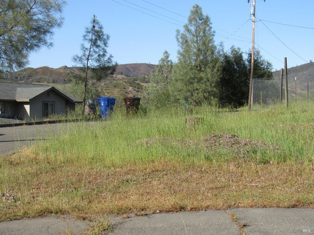 81 Mustang Ct, Pope Valley, CA 94567