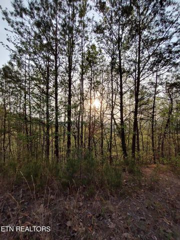 Green forest Rd, Cosby, TN 37722