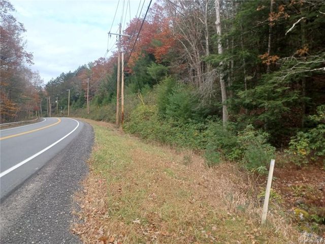  State Route 55, Barryville, NY 12719