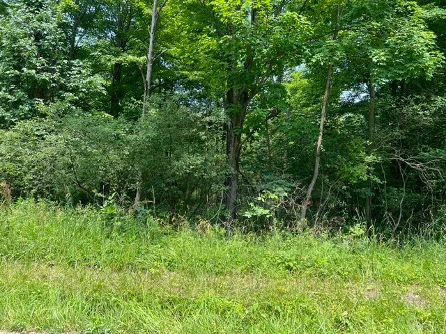 Ottawa Rd, Jamestown, PA 16134