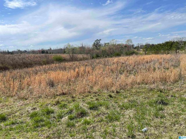 County Road 83 #1, Clanton, AL 35045