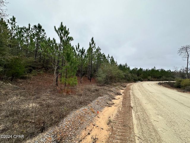 Tract 6418 N  Mattox Springs Rd #5, Caryville, FL 32427