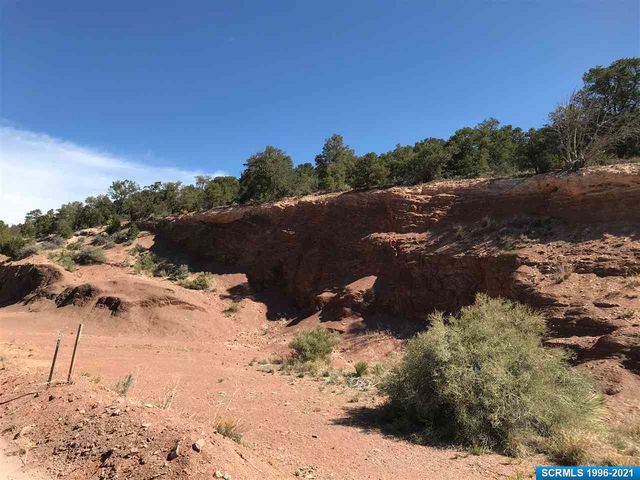 Limestone Quarry Is   #1723, Silver City, NM 88061