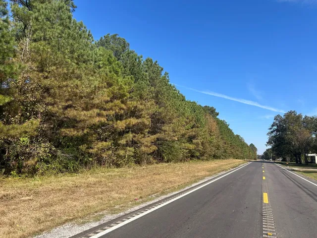 Highway 12 E, Caledonia, MS 39740