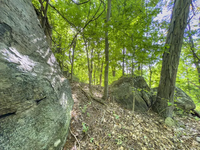 81 Township Road 158, Chesapeake, OH 45619