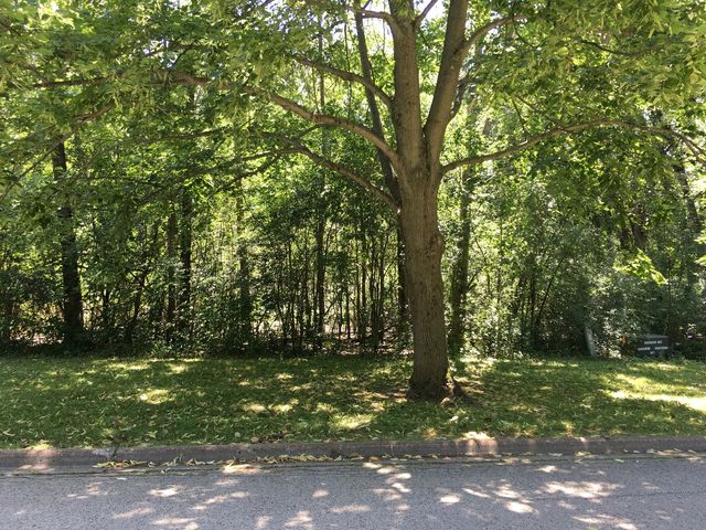 Lot 69 Windhaven Ct, Lake Forest, IL 60045