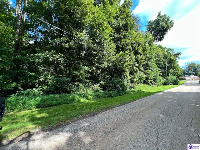 Mathers Rd, Hodgenville, KY 42748