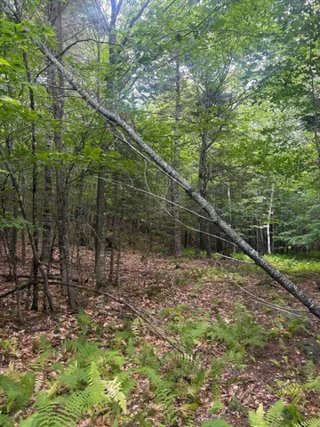 13 Crafts Road, Greenville, ME 04441