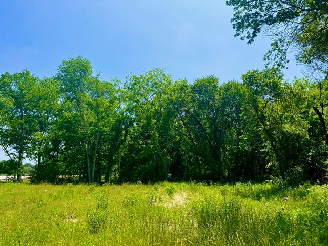 46 Antrim Ct, Poolville, TX 76487