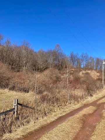 Revillot Acres Rd, French Creek, WV 26218