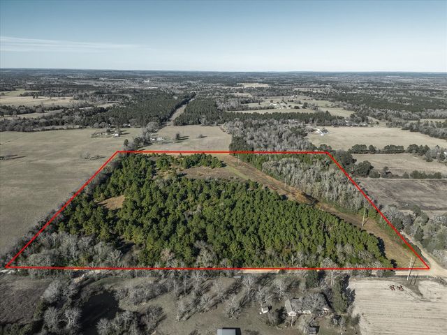 County Road 1890, Grapeland, TX 75844