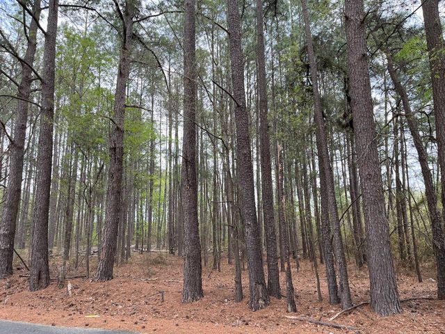 Hickory Hill Rd, Eastover, SC 29044