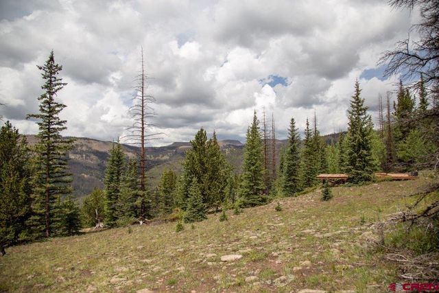 Xyz Forest Service Rd   #503, Creede, CO 81130