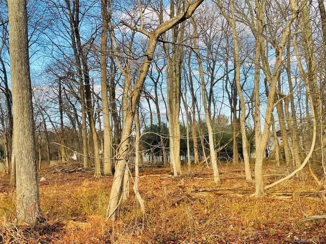 VL Daniel Lane, Middle Island, NY 11953