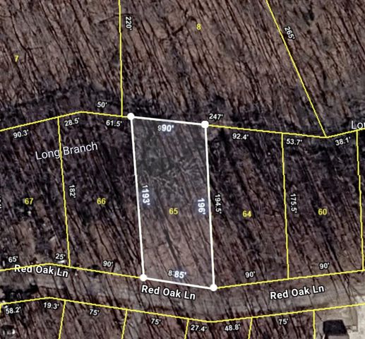 Red Oak Ln, Spring City, TN 37381