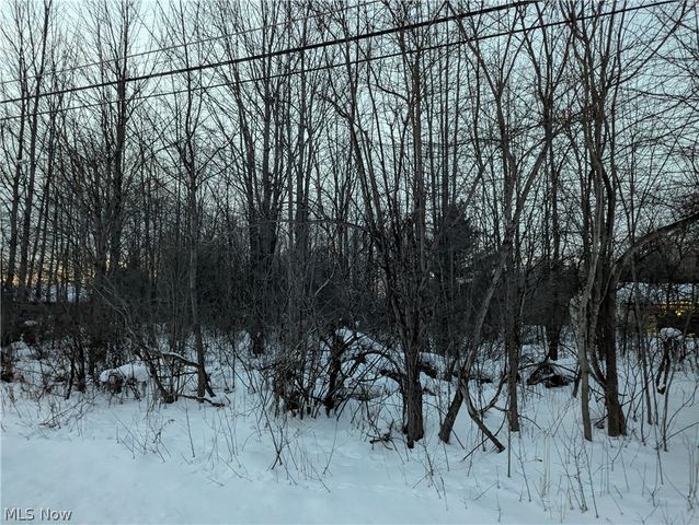 Morgan Rd, Montville, OH 44064