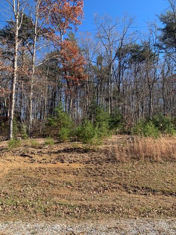 LOT 9a 10 Peaceful Rd   #1-10 & 9a, Spencer, TN 38585