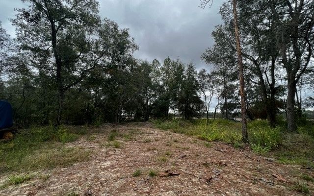 NW 62nd Pl, Bell, FL 32619